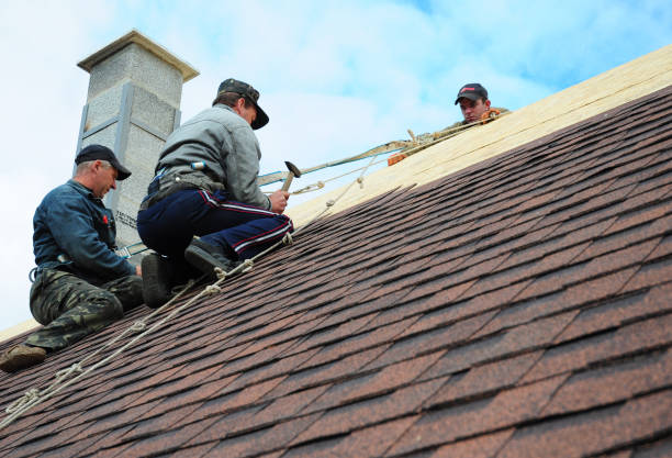 Best Storm Damage Roof Repair  in Manassas Park, VA